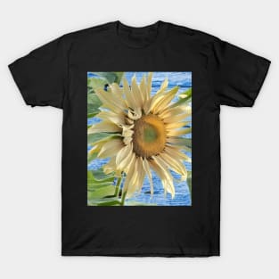 sunflower digital design T-Shirt